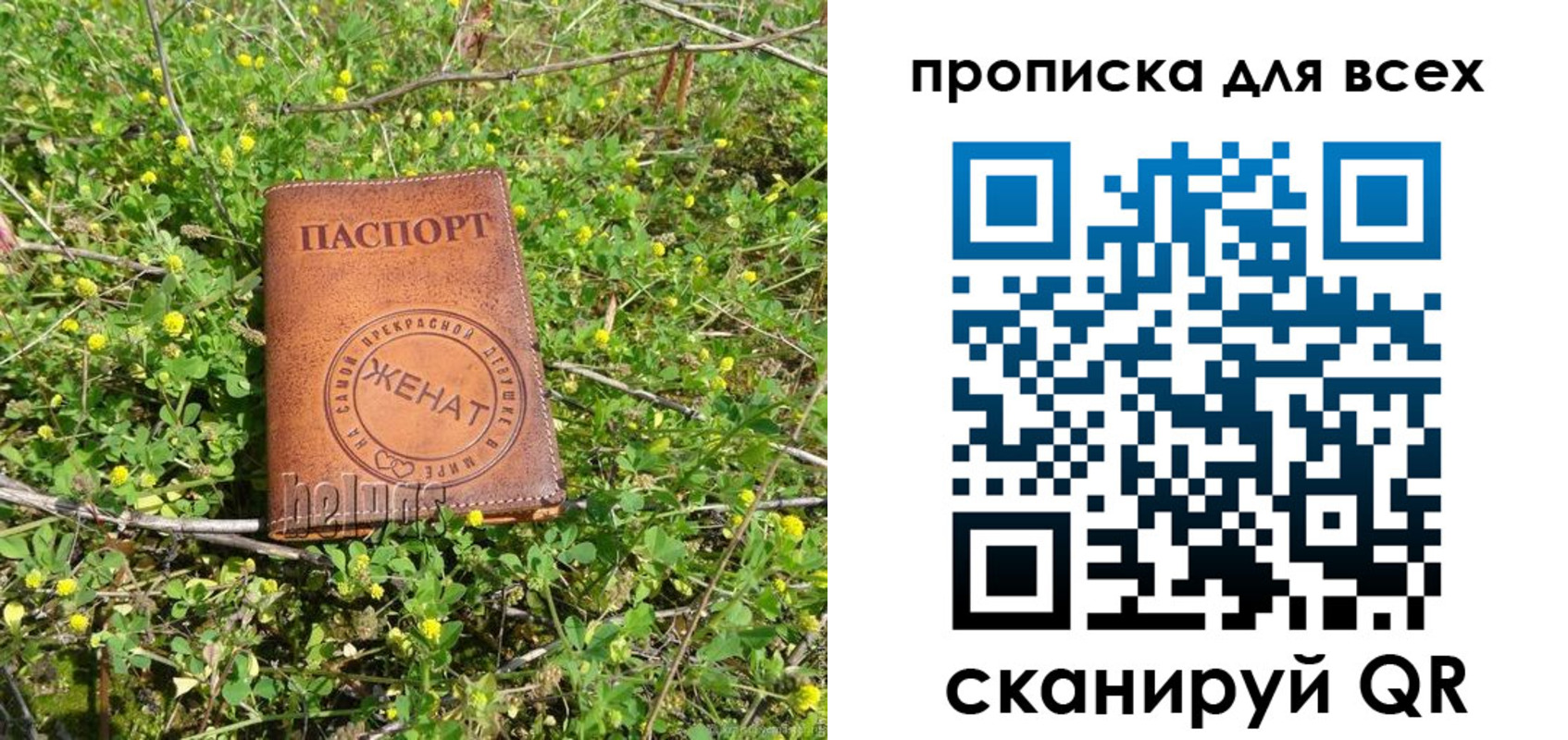 прописка поиск в Людиново